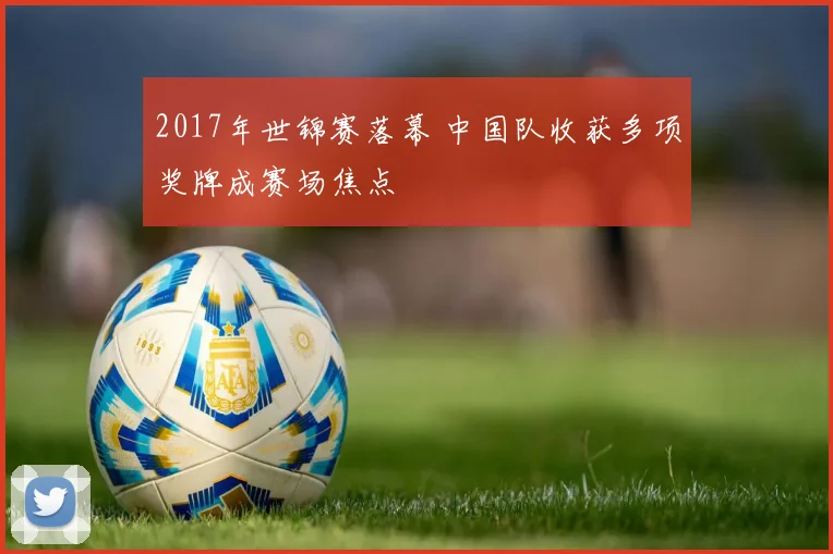 2017年世锦赛落幕 中国队收获多项奖牌成赛场焦点