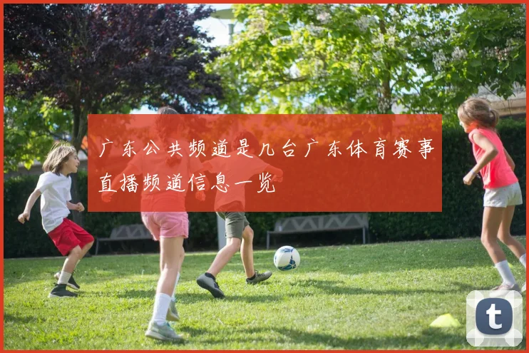 广东公共频道是几台广东体育赛事直播频道信息一览