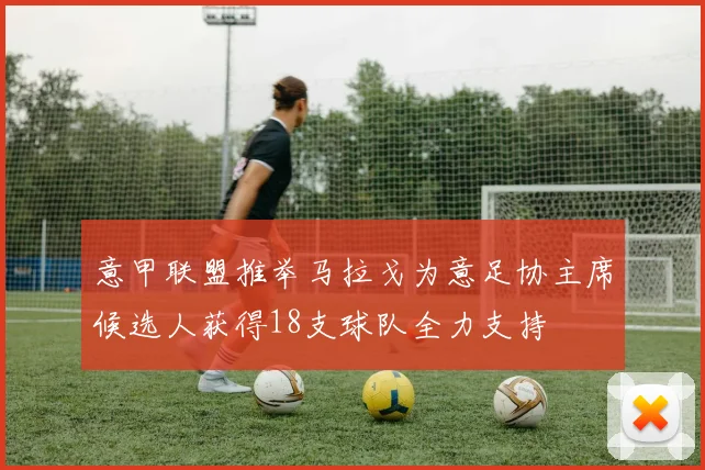 意甲联盟推举马拉戈为意足协主席候选人获得18支球队全力支持