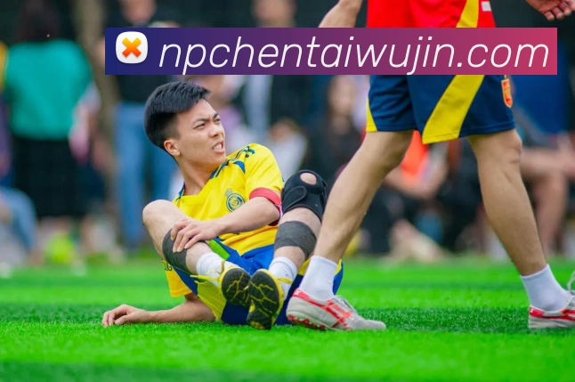 多媒体互动体验