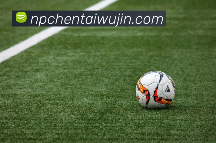 九游体育官网app登录APP 高清赛事图